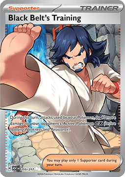 Black Belt's Training – (Ascended Heroes 255)