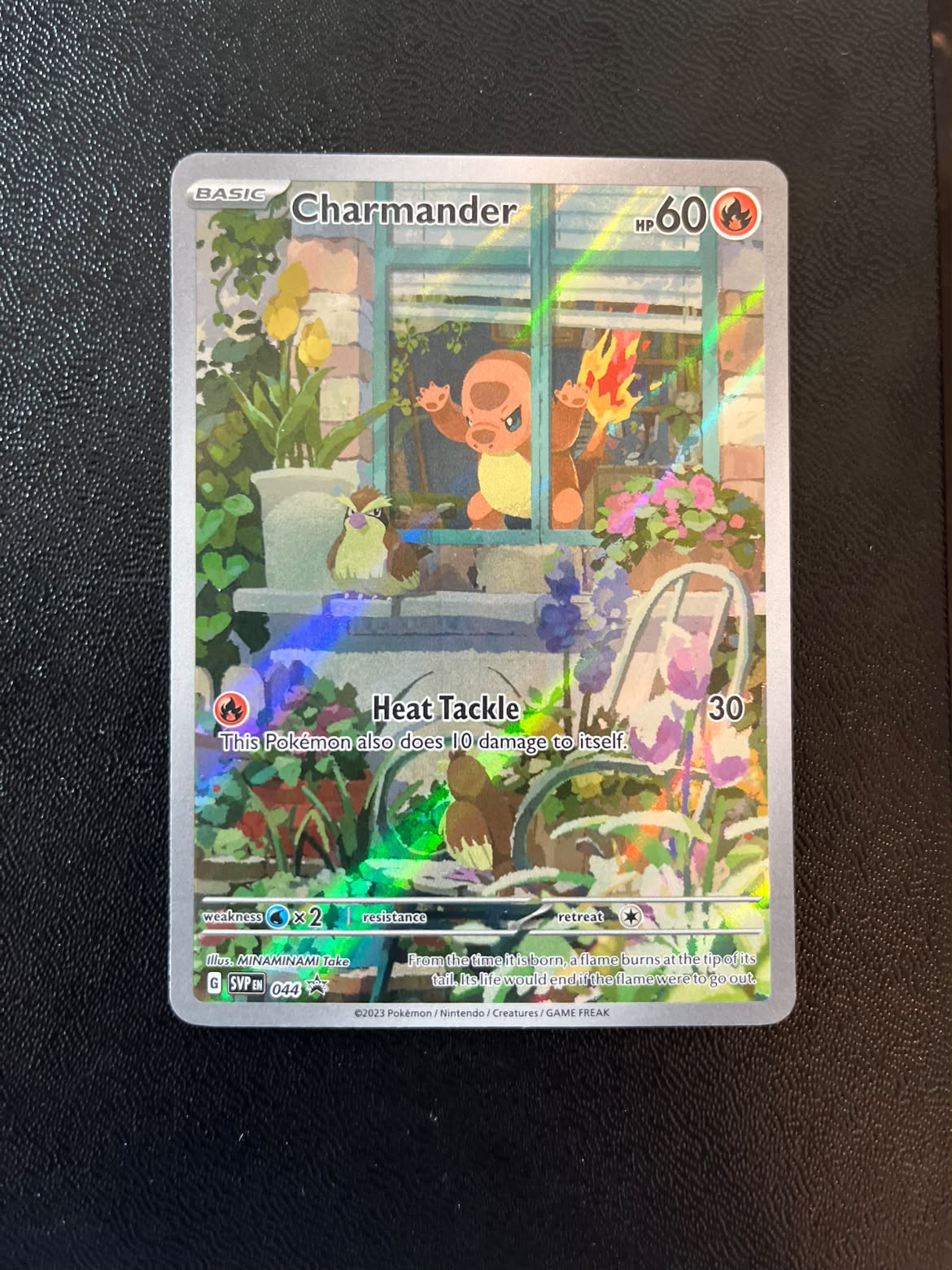 Charmander 044 SV Black Star Promos - Near Mint (Se billeder af det konkrete kort)