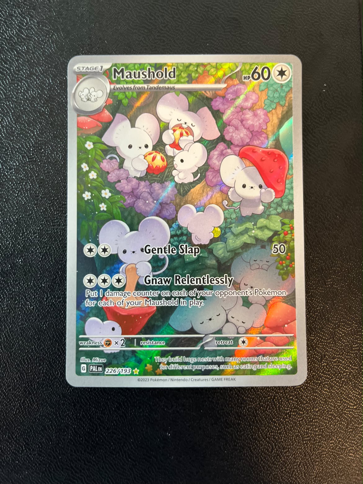Maushold 226 Paldea Evolved - Near Mint (Se billeder af det konkrete kort)