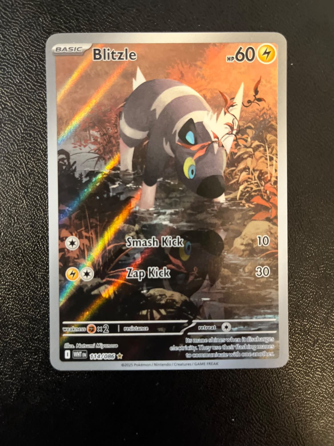 Blitzle 114 White Flare - Near Mint (Se billeder af det konkrete kort)