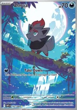 Zorua – (WHT 142)