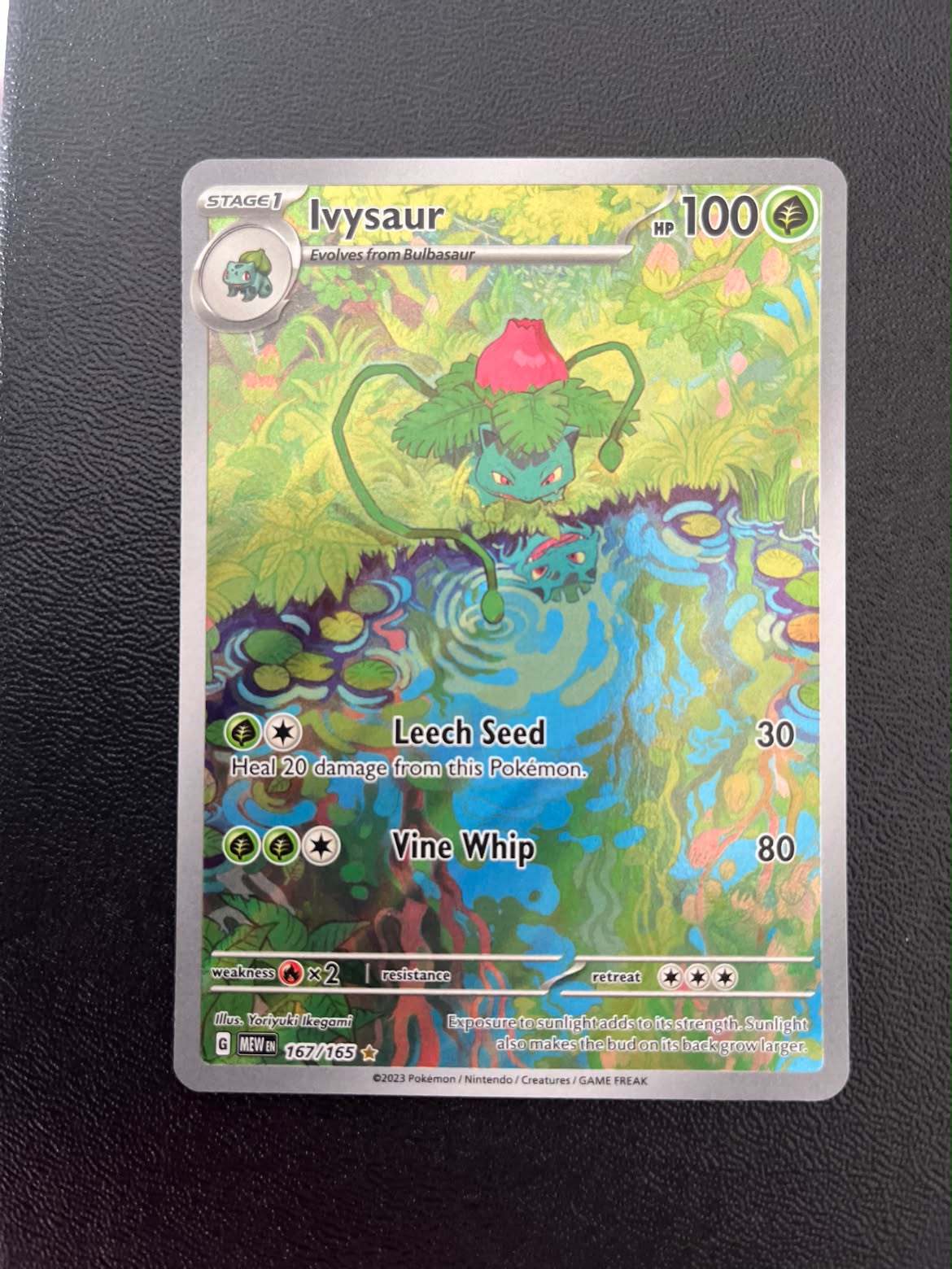 Ivysaur 151 167 (Se billeder af det konkrete kort)