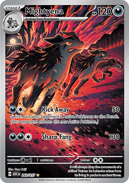 Mightyena – ASC 243