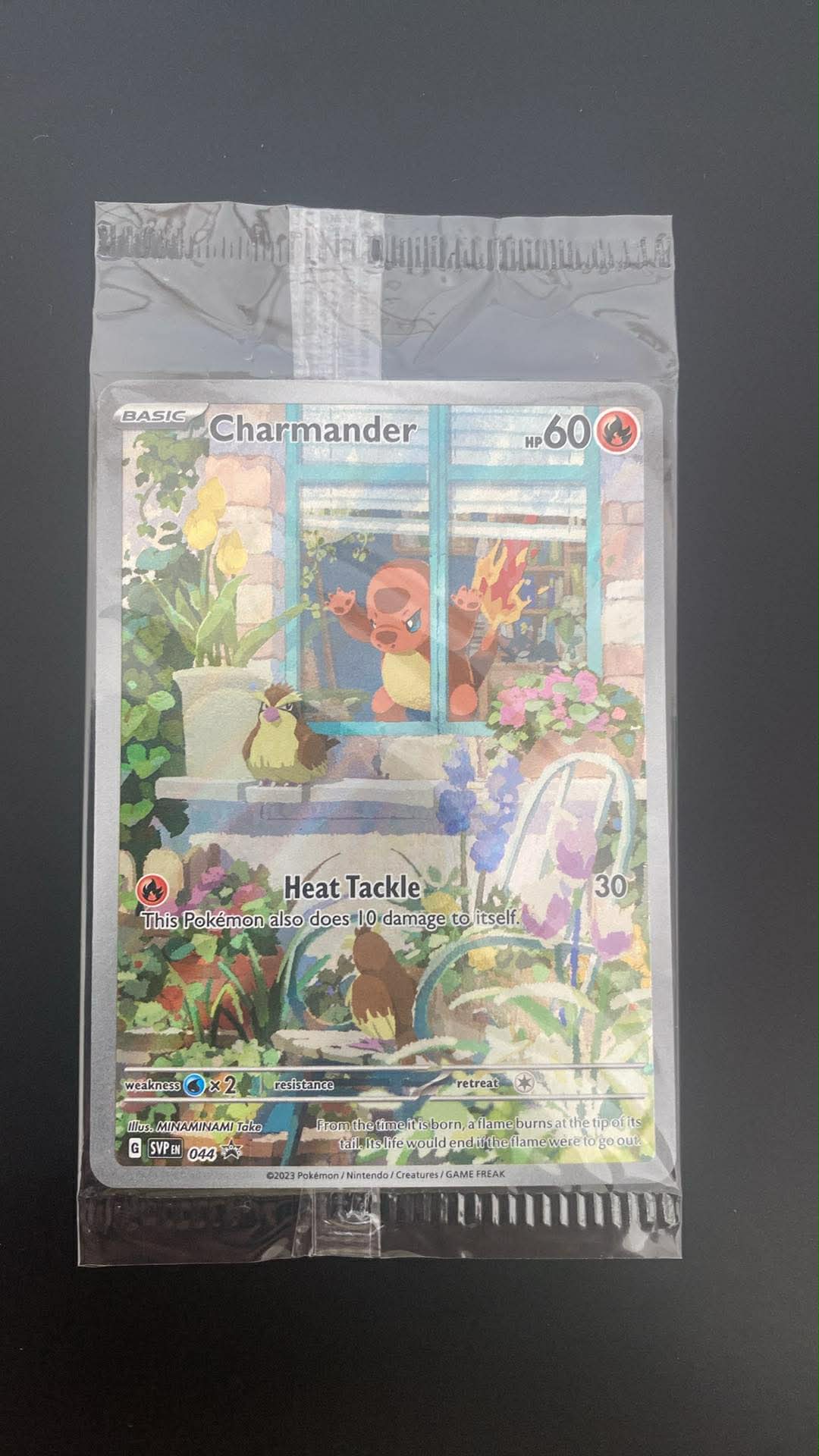 Charmander – SVP 044 – Sealed Promo